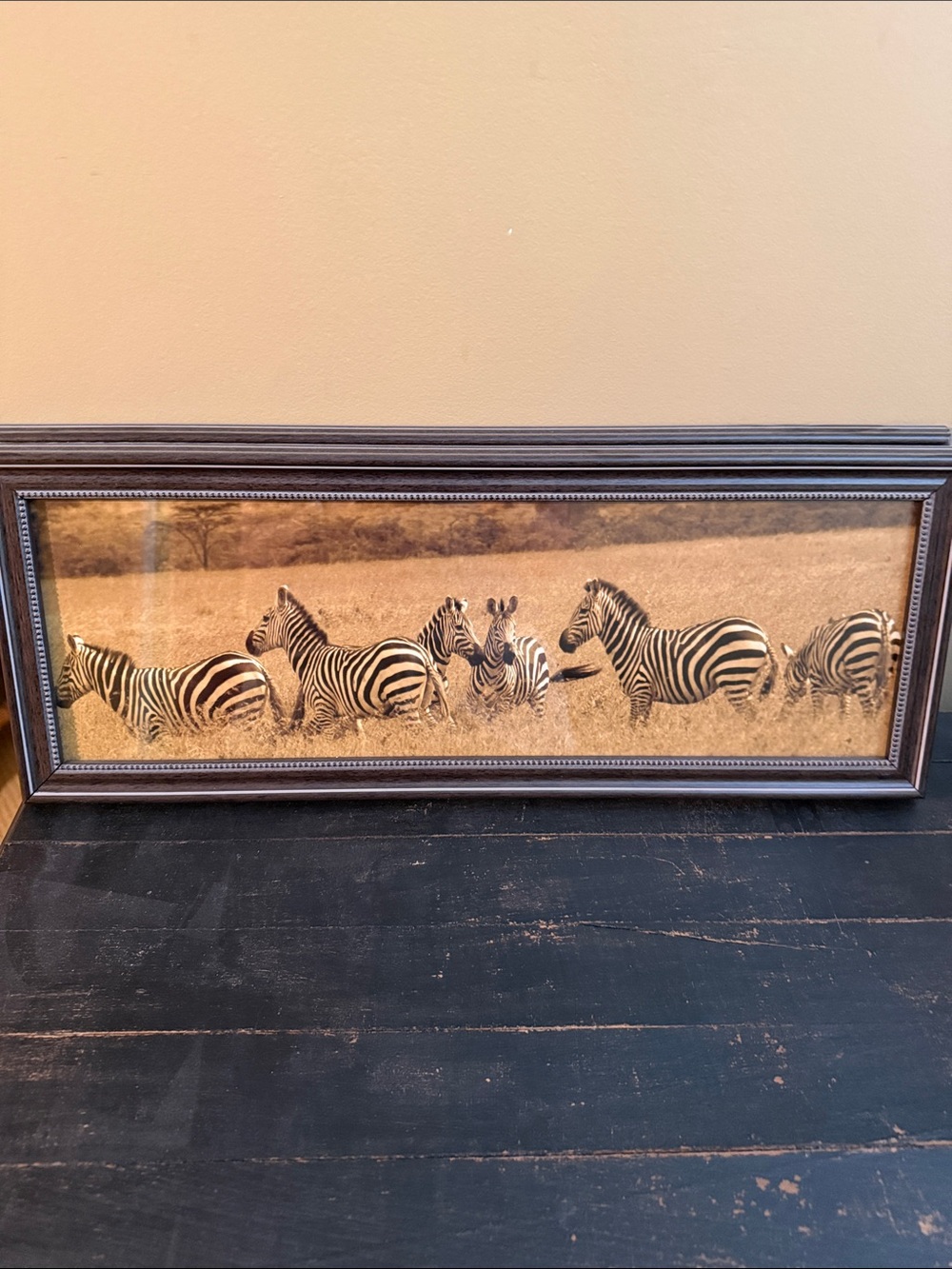 Zebra Herd Framed Wall Art in Brown and Black